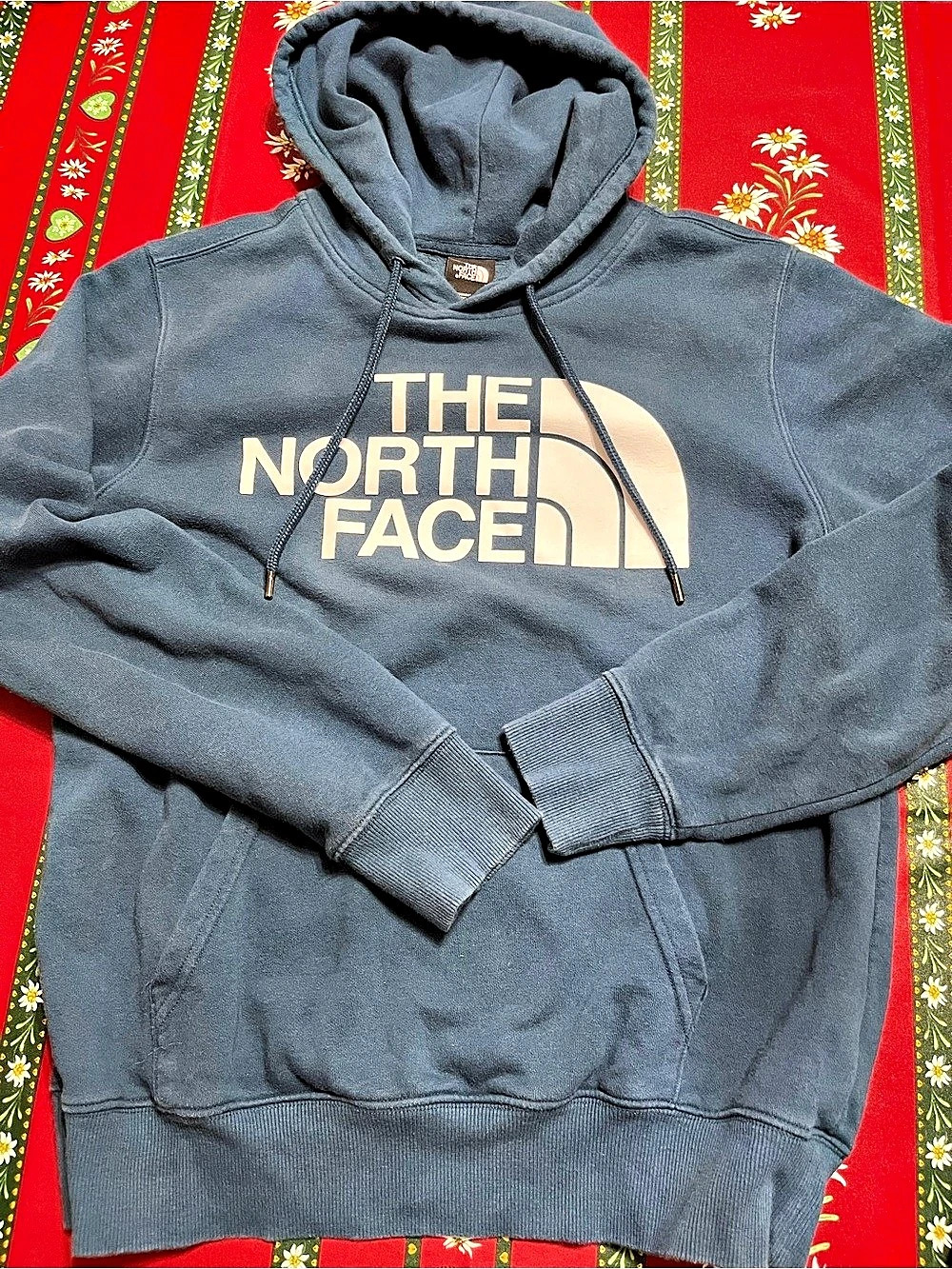 The North Face Half Dome Pullover Hoodie in Blue